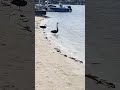 #viral #helpmemakethismakesense