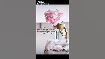 #سورة_الكهف_نور_بين_الجمعتين_الدعاء #جمعة_طيبة_مباركة🤲 #اللهم_صل_وسلم_وبارك_على_نبينا_محمد