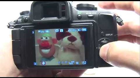 Panasonic G1/GH1: Portrait