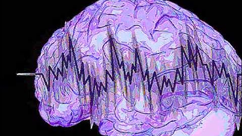 Study Smarter Not Harder with Beta Brain Wave Music