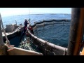 Cap sur la pche franaise  gloria maris  aquaculture