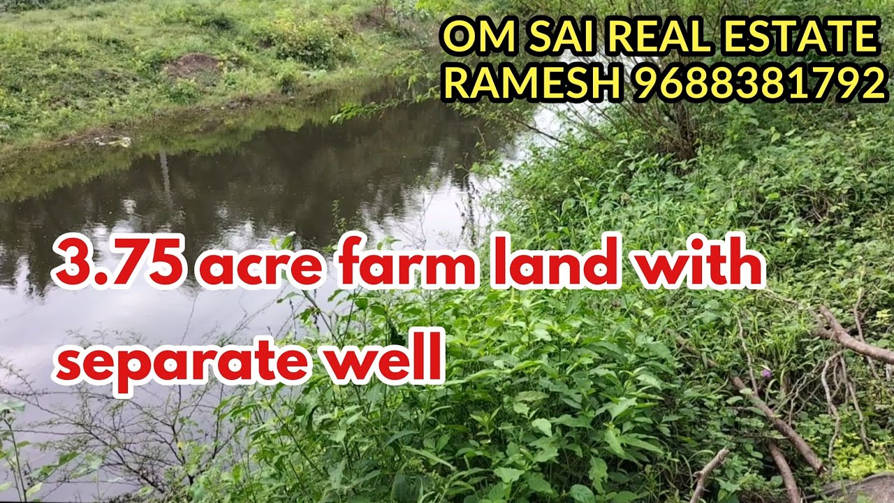 322) 3.75 acre farm land for sale in Pollachi area YouTube