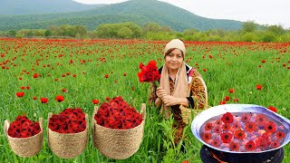 Harvesting Wild Tulips in Mountains - Making An Unusual Flower Jam