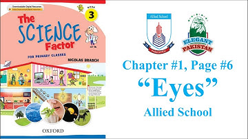 Class 3 Science Unit #1 Eyes. Allied School