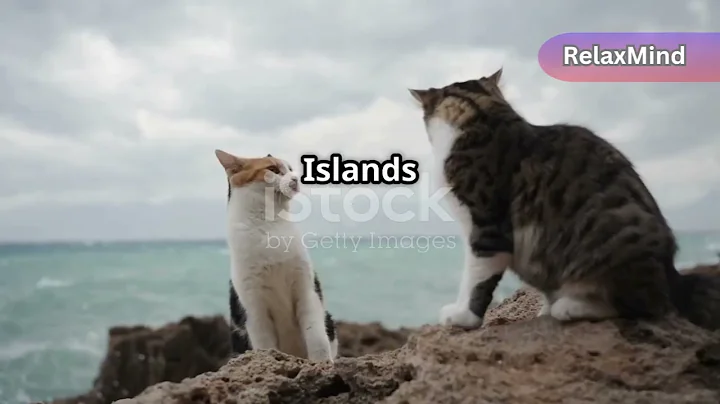 Why Domestic Cats are Considered Invasive Species: The Hidden Impact on Wildlife