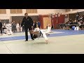 Children Battle at Canterbury Judo Champs 2018, highlights