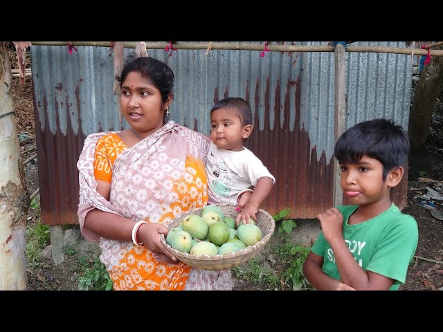 নিজের গাছে ঝড়ের দিনে আম কুড়াতে সুখ আজকে ঝড়ে অনেক আম পরেছে  Our village life class=