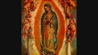 Video thumbnail of "Canción Sentimental a La Virgen Maria de Guadalupe"