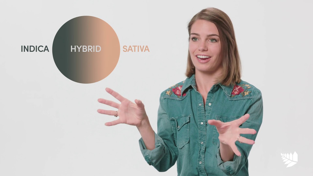 Cannabis 101 - What is a hybrid | Flowertown