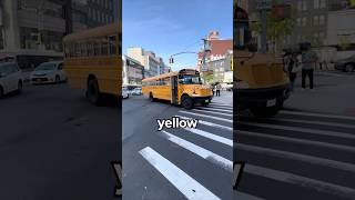 Whats The Difference Between All The Types Of Buses?