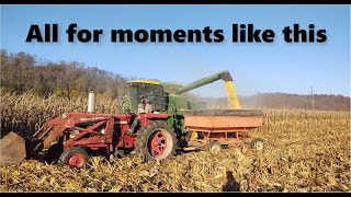 Small Farm's Corn Harvest 2020