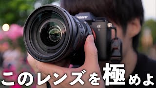 全員が改めてしっかり覚えるべき標準ズームレンズの使いこなし術【SIGMA 24-70mm F2.8 DG DN II | Art】