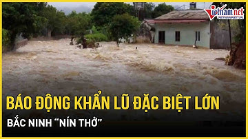 Báo động khẩn: Tin lũ đặc biệt lớn vượt mọi đỉnh lũ, Bắc Ninh “nín thở” | Báo VietNamNet