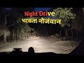 Night drive wandering young tiger dominant tiger tiger territory gir national park lions tiger