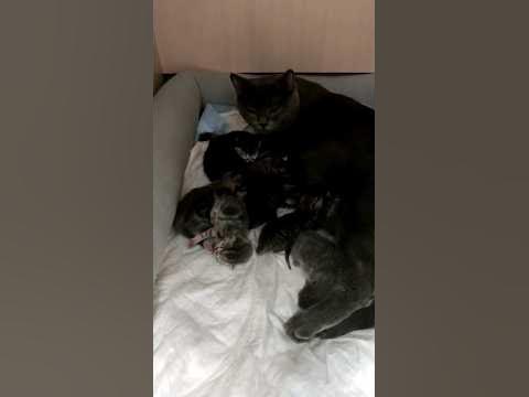 чужих детей не бывает ️1.06.2022 этому видео уже год - YouTube