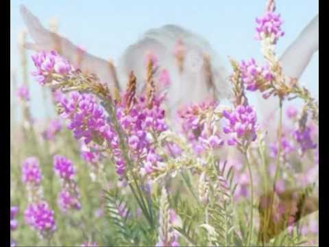 Verjüngungs-Meditation - Teil