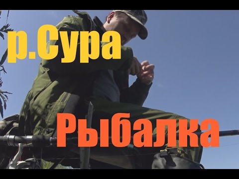 рыбалка на фидер на суре