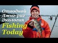 Отводной. Джиг-риг. Экология на МР. Розыгрыш Zetrix Ambition-X - Fishing Today