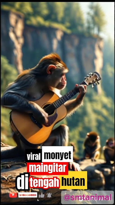 viral monyet lihai main gitar #nhạchaychọnlọc #monkey #gitarcover #gutar#viralshort