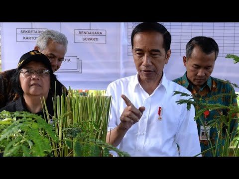 Ini dia Vetiver, Rumput Pencegah Bencana Longsor dan Erosi