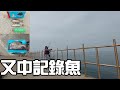 [胖咪]上班前偷跑去釣魚 又中記錄魚～ 難怪人家都說偷跑才魚！