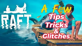 Raft  A Few of my Favourite Tips, Tricks and Glitches