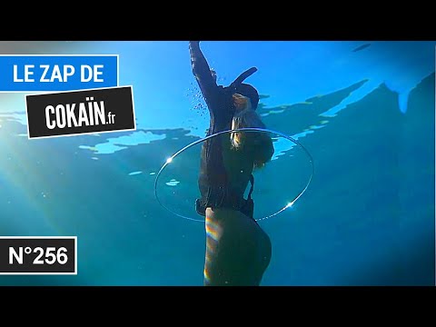 Le Zap de Cokaïn.fr n°256