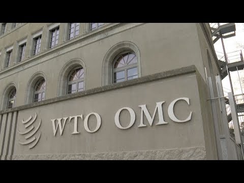 Video: What Does The WTO Do