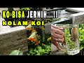 KOLAM KOI MINIMALIS AUTO BENING DAN JERNIH. KOI POND