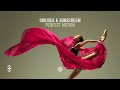 Orkidea & Sunscreem - Perfect Motion