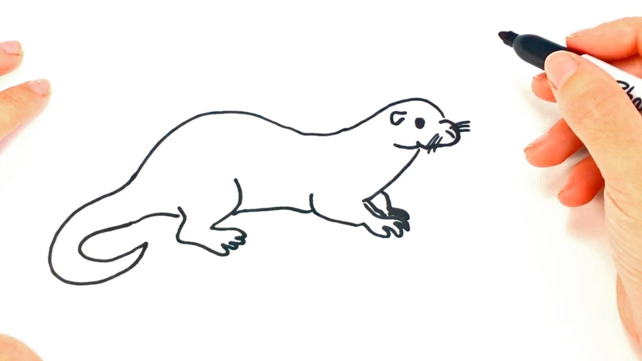 Featured image of post How To Draw An Otter Face Step By Step Always remember that people s eyes are positioned halfway down their heads not at the top