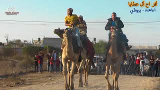 بروقى من افراح ال عطايا دحيه للخيل اشتركو فالقناة