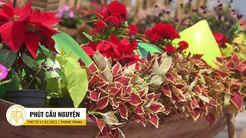 Phút Cầu Nguyện, Thứ Tư 17/02/2021: Hết Lòng Nhận Lỗi Của Mình