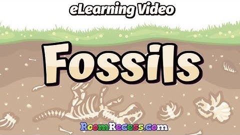 Fossils - eLearning Science Lesson for Kids