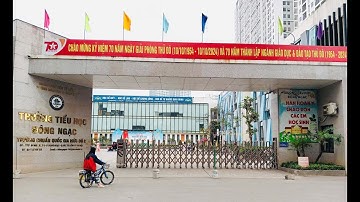 Trường Tiểu Học Đông Ngạc A - Thân Ngọc Linh đạt giải Huy chương Vàng Piano Talent Toàn Quốc 2025