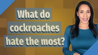 What do cockroaches hate the most?