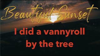 FPV Freestyle Sunset Explosion
