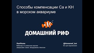 картинка: Способы компенсации кальция и KН в морском аквариуме: плюсы и минусы
