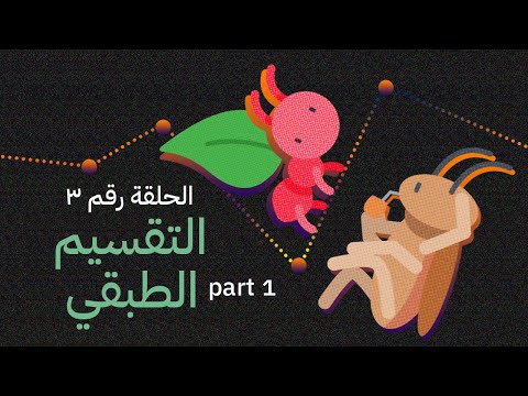 3    اللامساواة والطبقات