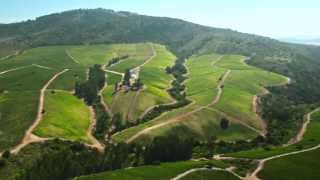 Amayna - Leyda Valley - Chile