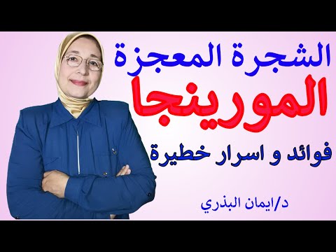 حلقة حوارية بين مريم نور ومحمد كيلاني عن علاج الامراض جميعها بما فيها السرطان.. والوقاية منها أيضا... 