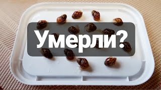 ЧП У УЛИТЯТ