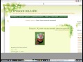 Как работает вебвизор от Яндекс Метрики.
