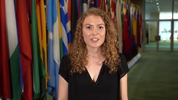 What do UN translators do?