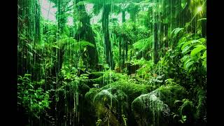 Rainforest Rain Sound Mingles with Soft Music For A Fast Falling  Asleep screenshot 2