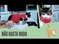 DIY: COMO FAZER ROUPA CIRÚRGICA PARA GATOS