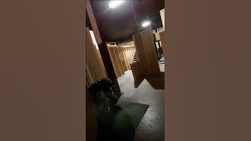 VERY PRECISE! #bodycamgame #realistic #unrealengine  #gameplay #gameplayfps #milsim #games #gaming