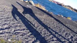 Shadow dancers wind effect
