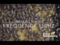 Honey bee healing frequency 150 hz