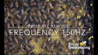 Honey Bee Healing Frequency 150 Hz screenshot 4